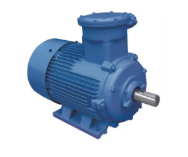 Flame Proof AC Motor