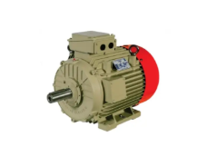 Ravi Series AC Motor (IE2 Efficiency)