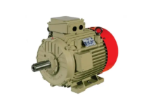 Rerolling Mill Duty Motor