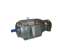 TEFC Wound Rotor AC Motor