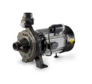 PAMBA PUZHA Single Phase Monobloc Pump
