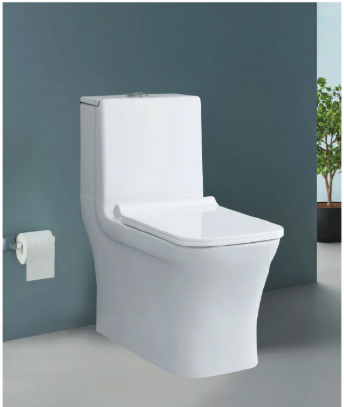 One-Piece Toilet - Wash Down Flush (P-Trap)
