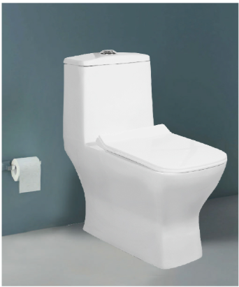 One-Piece Toilet - Square Seat Design