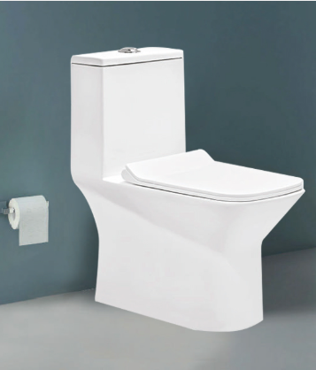 One-Piece Toilet - 5D Siphonic Flush