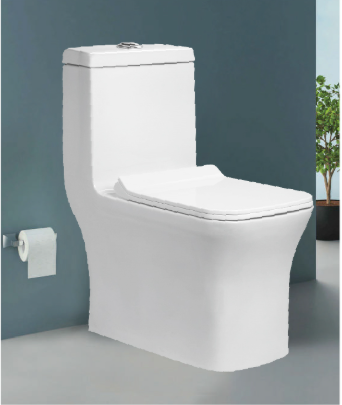 One-Piece Toilet - Standard Wash Down (200mm S)