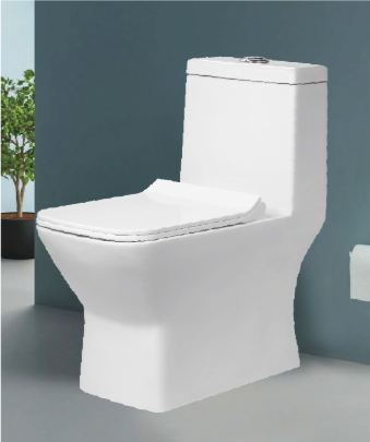 One-Piece Toilet - Compact Design