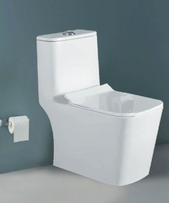 One-Piece Toilet - Rimless Wash Down (P/S Trap)