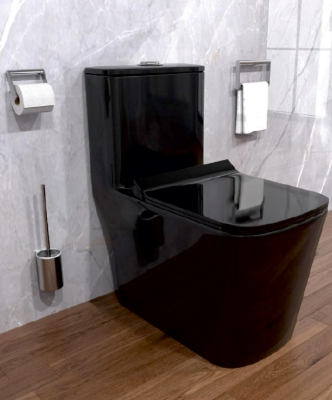 One-Piece Toilet - Rimless Black