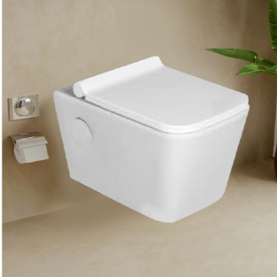 Wall-Hung Toilet - Wash Down