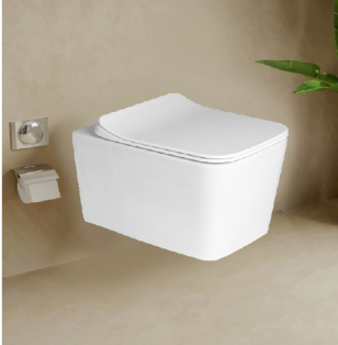 Wall-Hung Toilet - Rimless Wash Down (Adjustable)