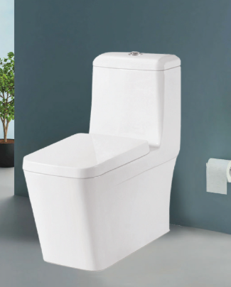 One-Piece Toilet - Swirl Siphonic Flush