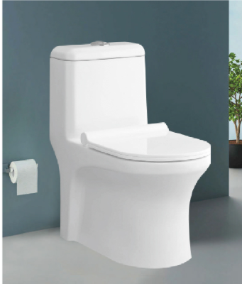 One-Piece Toilet - Standard Wash Down