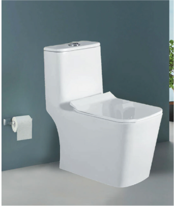 One-Piece Toilet - 6D Siphonic Flush